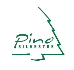 Pino Silvestre