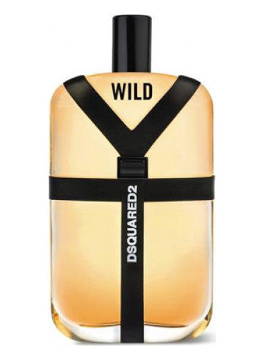 Wild by Dsquared for men